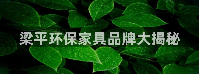 杏耀官网注册地址：梁平环保家具品牌大揭秘