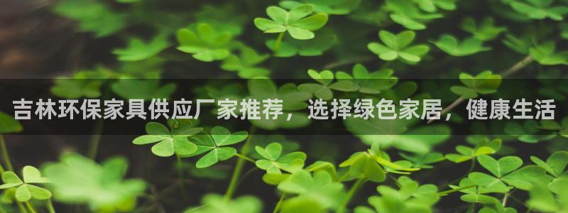 杏耀官网客服：吉林环保家具供应厂家推荐，选择绿色家居，健康生